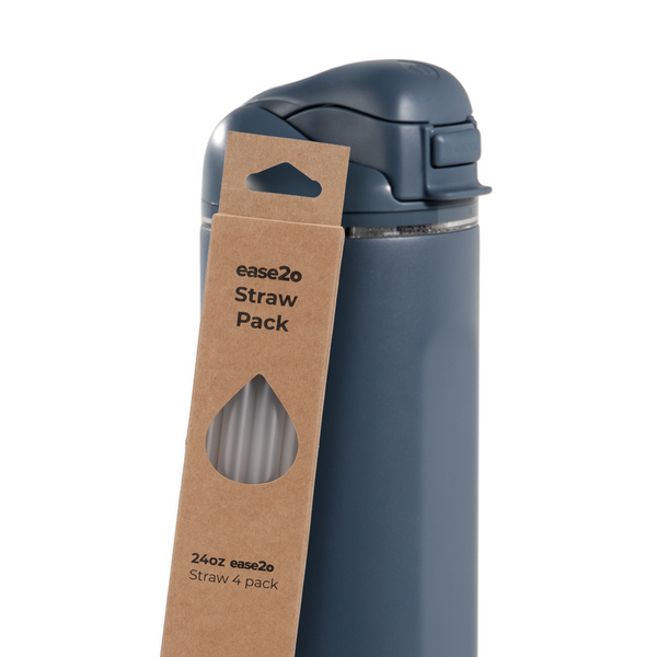 Ease2o Straws 4 Pack 24oz A9